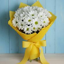 Букет цветов из:  Хризантемы в Ягул