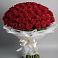 Букет 101 Красная роза Блэк Мэджик в Ягул