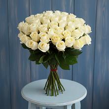 Букет 51 Белая роза Эдлесс Лав #REPLACE_PRED# Ягул