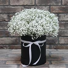 Цветочная композиция из Гипсофила в шляпной коробке в Ягул
