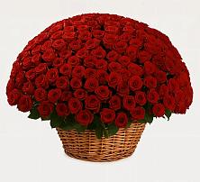 Премиум букет из: Розы в Ягул