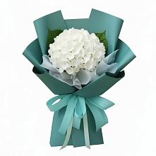 Букет цветов из:  Гортензия в Ягул